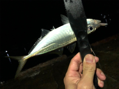 ライトゲーム♪