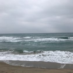 二月半ばなのにもう春の兆し?