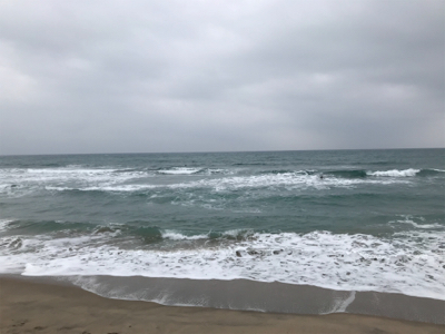 二月半ばなのにもう春の兆し?