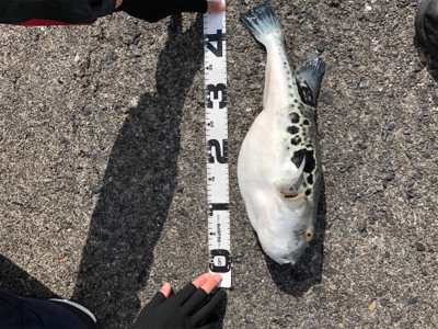 渋い中で何とか1杯