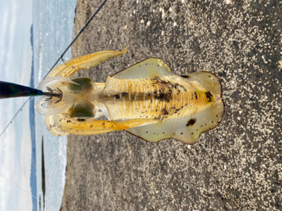 やっと　　　釣れた