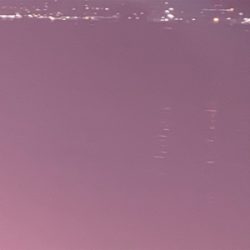 ガシラとメバル