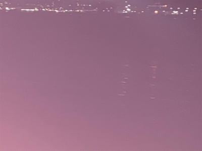 ガシラとメバル