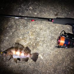 ちょこっとメバリング