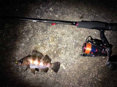 ちょこっとメバリング