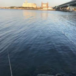 丘はポカポカ、水中はシブシブ