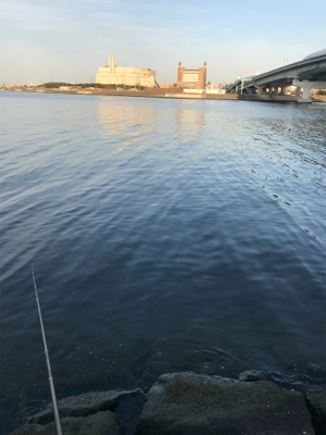 丘はポカポカ、水中はシブシブ