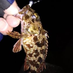 ナイトメバリング