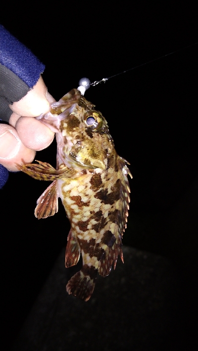 ナイトメバリング