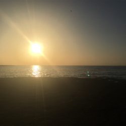 田辺市の磯で鯛「初投稿！」徐々に道具も良いの使いたいですね^_^