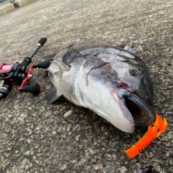 外道で大物ゲスト