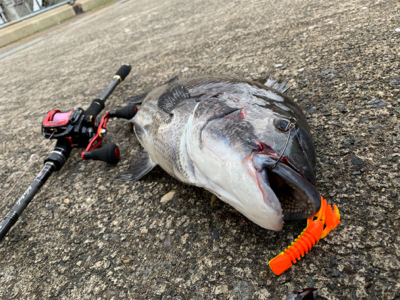 外道で大物ゲスト