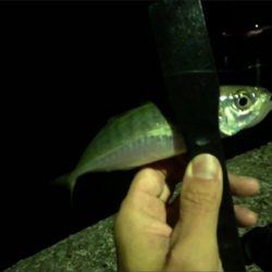 ライトゲーム♪