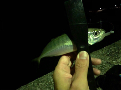 ライトゲーム♪