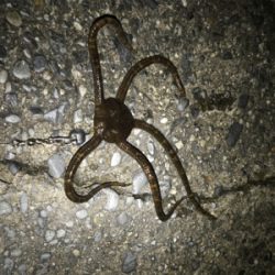 大荒れ三春町岸壁