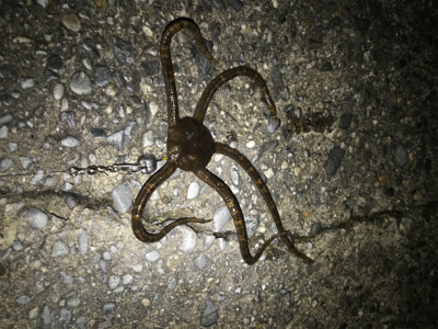 大荒れ三春町岸壁