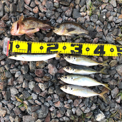 やっとこさデス