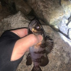 ライトゲーム！