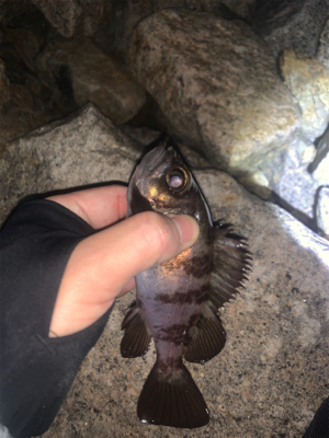 ライトゲーム！