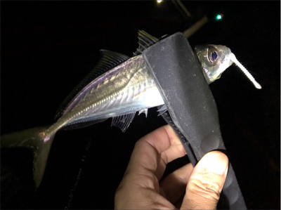 キャロアジング！