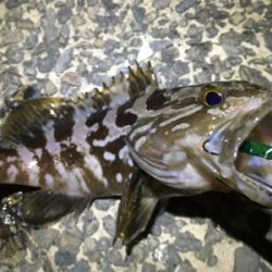 常夜灯周りのポテンシャル