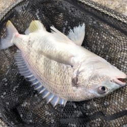 ランガンスタイル