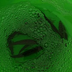 サビキ釣果のみ!