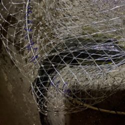 リフトアンドフォール!