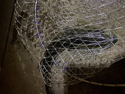 リフトアンドフォール!