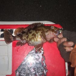 アジング 練習 118