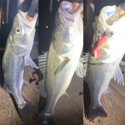 一瞬の入れがかり