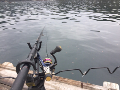 つりぴぃぽぉ釣果