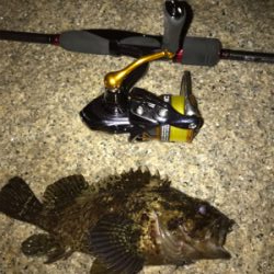 メバリングのつもりがガシリング