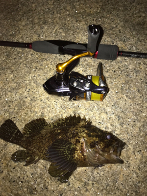 メバリングのつもりがガシリング