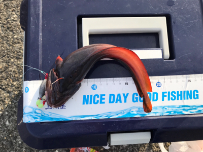 少しマシになった