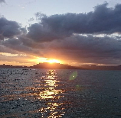 えー！うそぉー！これ食べれんのー？