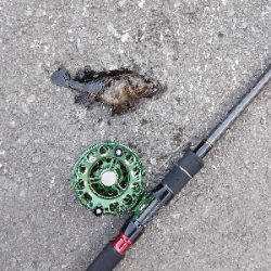 海の中も寒かった！