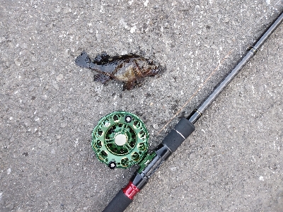 海の中も寒かった！