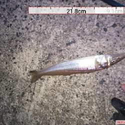 まずまずの成果