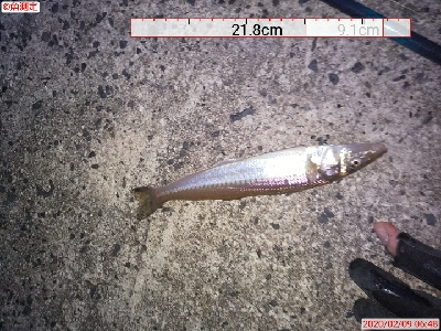 まずまずの成果