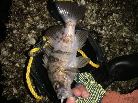 寒いけど魚は元気!