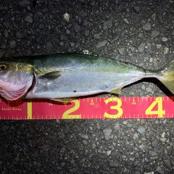 デイアジングで・・・えっ!