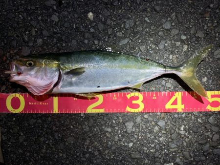 デイアジングで・・・えっ！