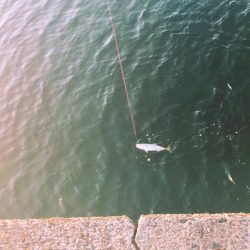 会議の前に大事件