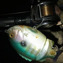 ブルシューターの集魚力！