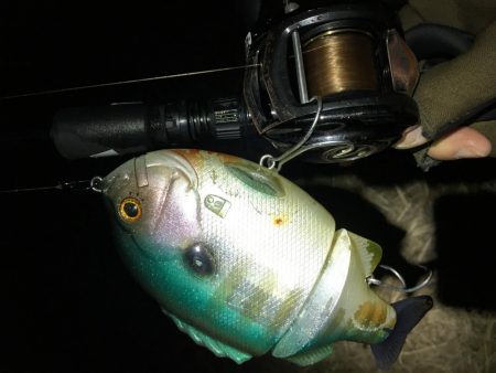 ブルシューターの集魚力！