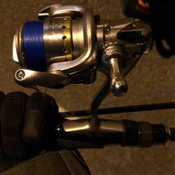 カサゴに癒される