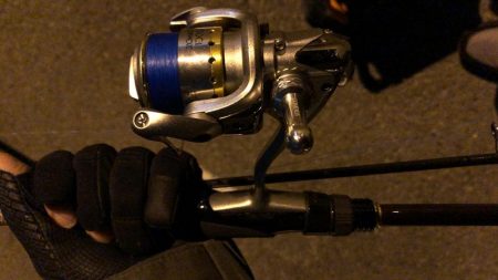 カサゴに癒される