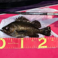 今日は超！渋かった！