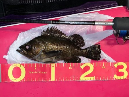 今日は超！渋かった！